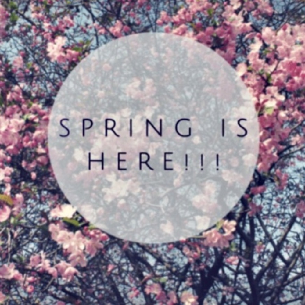 Spring Sales!